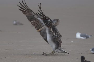 迷你倉：輕鬆管理空間的智慧選擇