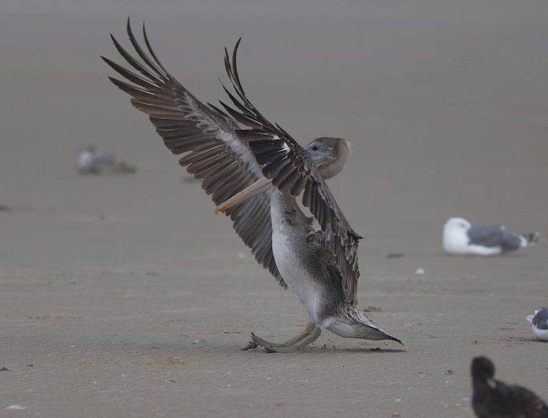 迷你倉：輕鬆管理空間的智慧選擇