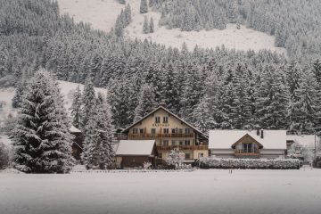 轉按回贈的重要性與實用指南