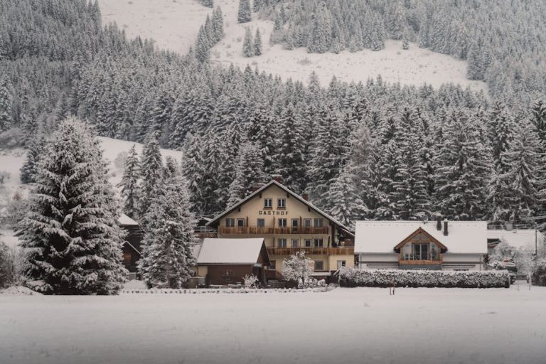 轉按回贈的重要性與實用指南