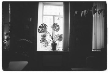 迷你倉的深度分析：幽默探討空間魔法與生活智慧