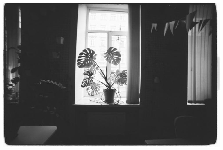 迷你倉的深度分析：幽默探討空間魔法與生活智慧